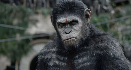 Planeta Simios Cesar