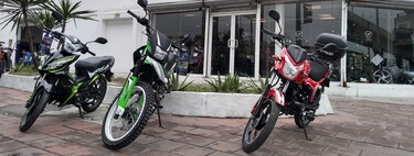 Jalisco quiere regular sus vehículos a toda costa: ahora te venderán placas y tarjeta de circulación junto con las motos