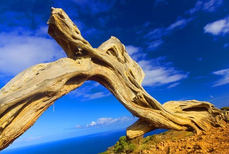 Isla Hierro 6