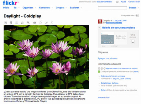 Truco: Oculta archivos en tus fotos de Flickr y Picasa