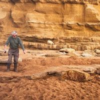 Casal acha fóssil de 174 milhões de anos em passeio na praia e descobre réptil pré-histórico que viveu mais do que a ciência previa 