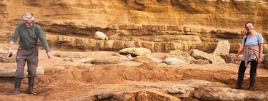 Casal acha fóssil de 174 milhões de anos em passeio na praia e descobre réptil pré-histórico que viveu mais do que a ciência previa 