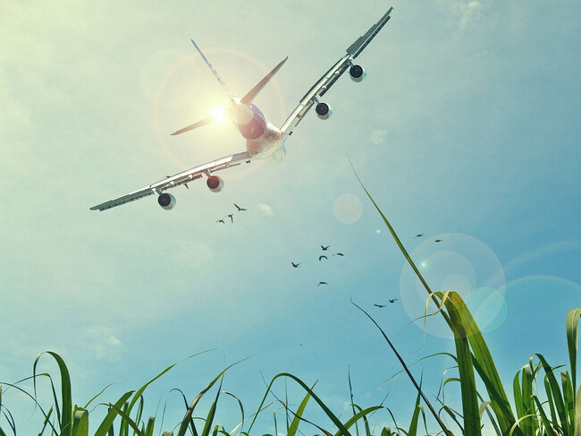 Avion