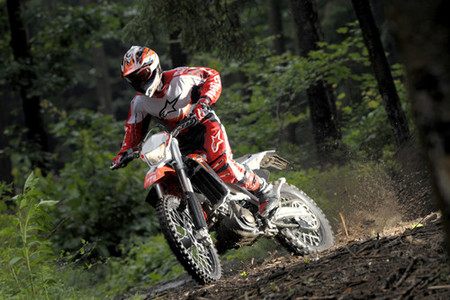 Aprilia RXV 2009