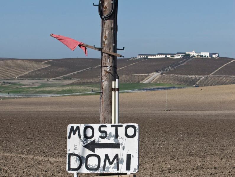Qué es la ruta del mosto, un clásico de la gastronomía de Jerez y Aljarafe, y qué se come y se bebe en sus ventas
