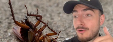 Iván, alias El Bicho Raro, experto en plagas: "El mejor insecticida contra las cucarachas no sirve de nada si antes no haces esto" 
