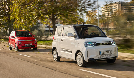 Invicta Pocco 2024 y Invicta Pony 2024