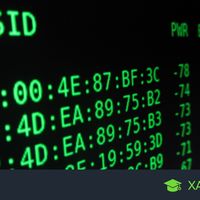 Qué es la dirección MAC de tu ordenador, del móvil o de cualquier dispositivo