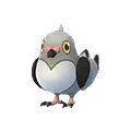Pidove