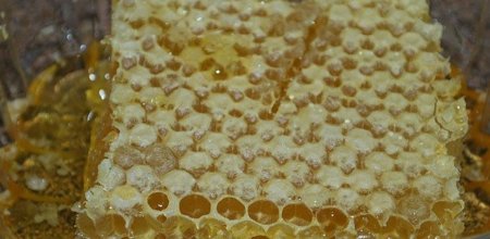 Google cierra el código de Android 3.0 Honeycomb para que éste no se use en teléfonos