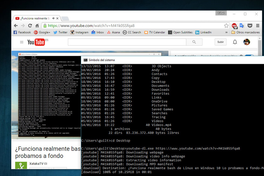 GitHub ha cerrado el repositorio de youtube-dl, la herramienta usada en muchas apps para descargar vídeos de YouTube y otras webs