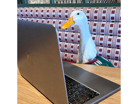 Patito 2