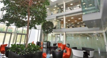 Oficinas Apple Cork