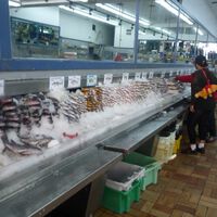 Todos los pescados que comemos están contaminados por metilmercurio. Pero solo hay cuatro específicos a evitar