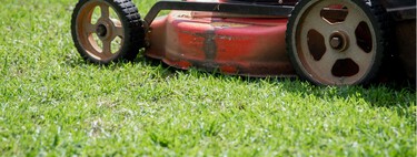 Las tres señales clave en tu jardín que debes vigilar para saber cuándo cortar el césped