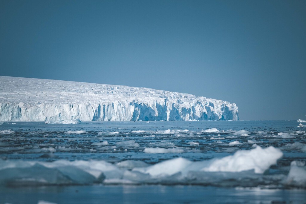 60 millones de nidos bajo el hielo de la Antártida: la verdad tras la "ciudad" de peces más grande del mundo