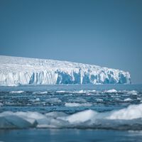 60 millones de nidos bajo el hielo de la Antártida: la verdad tras la "ciudad" de peces más grande del mundo 
