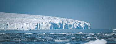 60 millones de nidos bajo el hielo de la Antártida: la verdad tras la "ciudad" de peces más grande del mundo 