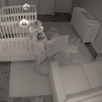 ¿Dormir? No, gracias: una cámara registró la divertida fiesta nocturna de unos gemelos