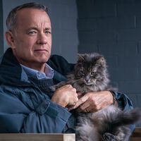 Tom Hanks cree que los Oscar no necesitan una categoría para interpretaciones de voz. "Podrían ganar en la categoría de mejor actor"  