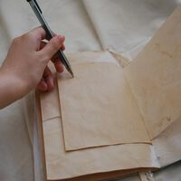 O grande enigma de por que os canhotos não desapareceram agora tem uma resposta: a evolução os tornou hipercompetitivos 