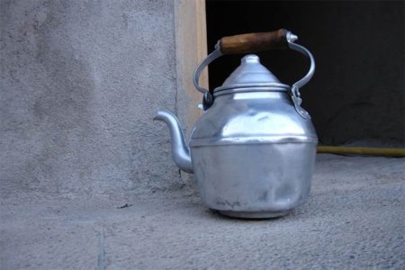 La damiana o té de México, una fuente de beneficios para el organismo