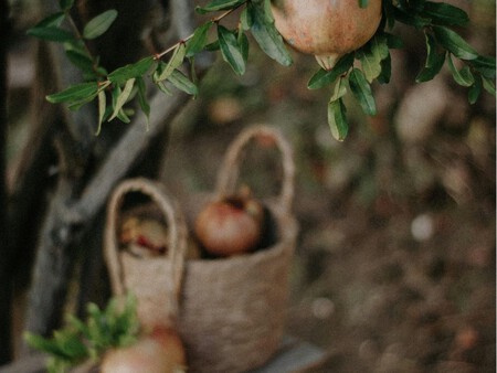 Un ejemplar de granado.
