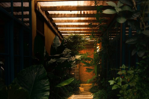 Lámpara solar decorativa Lidl