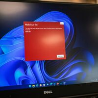 Multan con 16,5 millones de dólares al antivirus gratuito más popular por invadir la privacidad de sus usuarios. Avast se mete en problemas