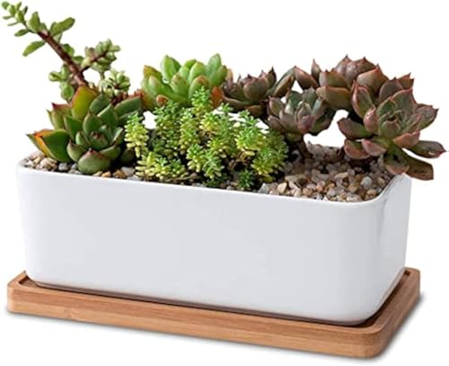 LATRAT - Maceta rectangular blanca de cerámica para suculentas