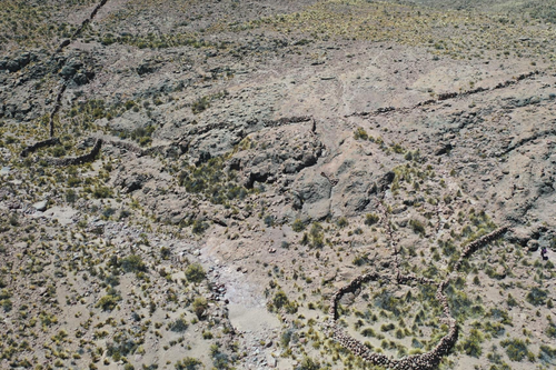 (Reprodução/Adrián Oyaneder)