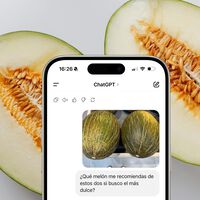 Los tiempos de azotar melones han pasado a mejor vida: ahora para elegir el más dulce me llevo el móvil al súper 