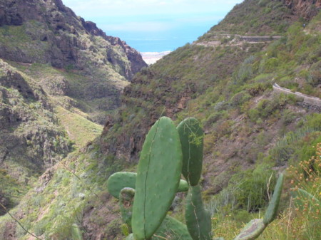 Barranco Del Infierno En Adeje