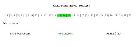 Cuantos dias se da la ovulacion