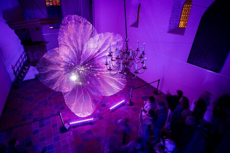 Glow Fest En Puebla Mexico 1