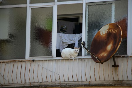 Pexels Burakbasgoze 16767418