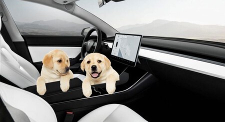 Tesla Modo Perro