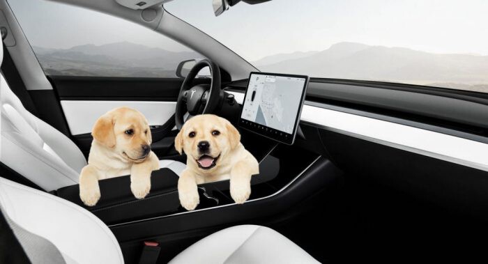 www.motorpasion.com