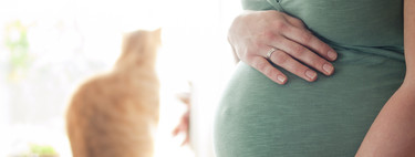 Toxoplasmosis: qué es, síntomas y contagio