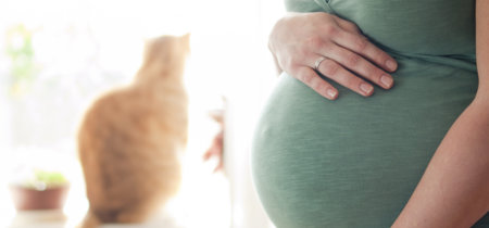 Toxoplasmosis: qué es, síntomas y contagio