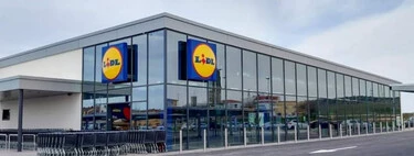 Lidl lanza hoy un cubo de basura estrecho y de gran capacidad ideal para cocinas pequeñas 