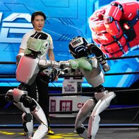 Truth Is Stranger Than Fiction: China Just Hosted the World’s First Humanoid Robot Kickboxing Tournament 