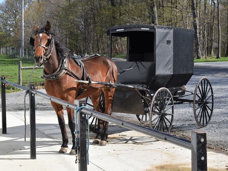 Amish
