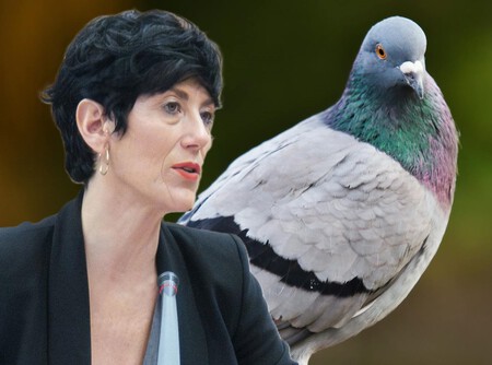 Los Autonomos Pagaran 1000 Euros.