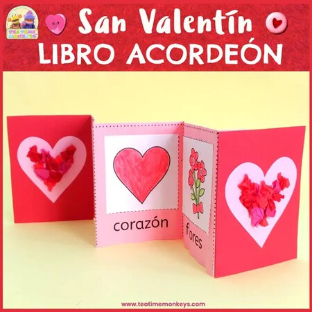 Libro Acordeon