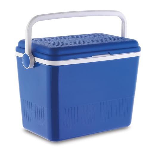 Campos Nevera Portatil de 42 L 