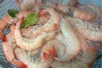 Emprender en el sector alimenticio sin importar el lugar 