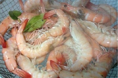 Emprender en el sector alimenticio sin importar el lugar