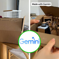 Google ya convierte tus fotos en videos con IA: así funciona la nueva herramienta de Gemini que puedes probar en México 