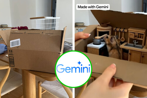 Gemini Videos 01